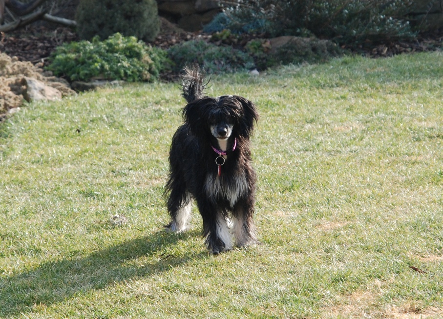 Olivie 7.2.09