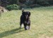 Olivie 7.2.09